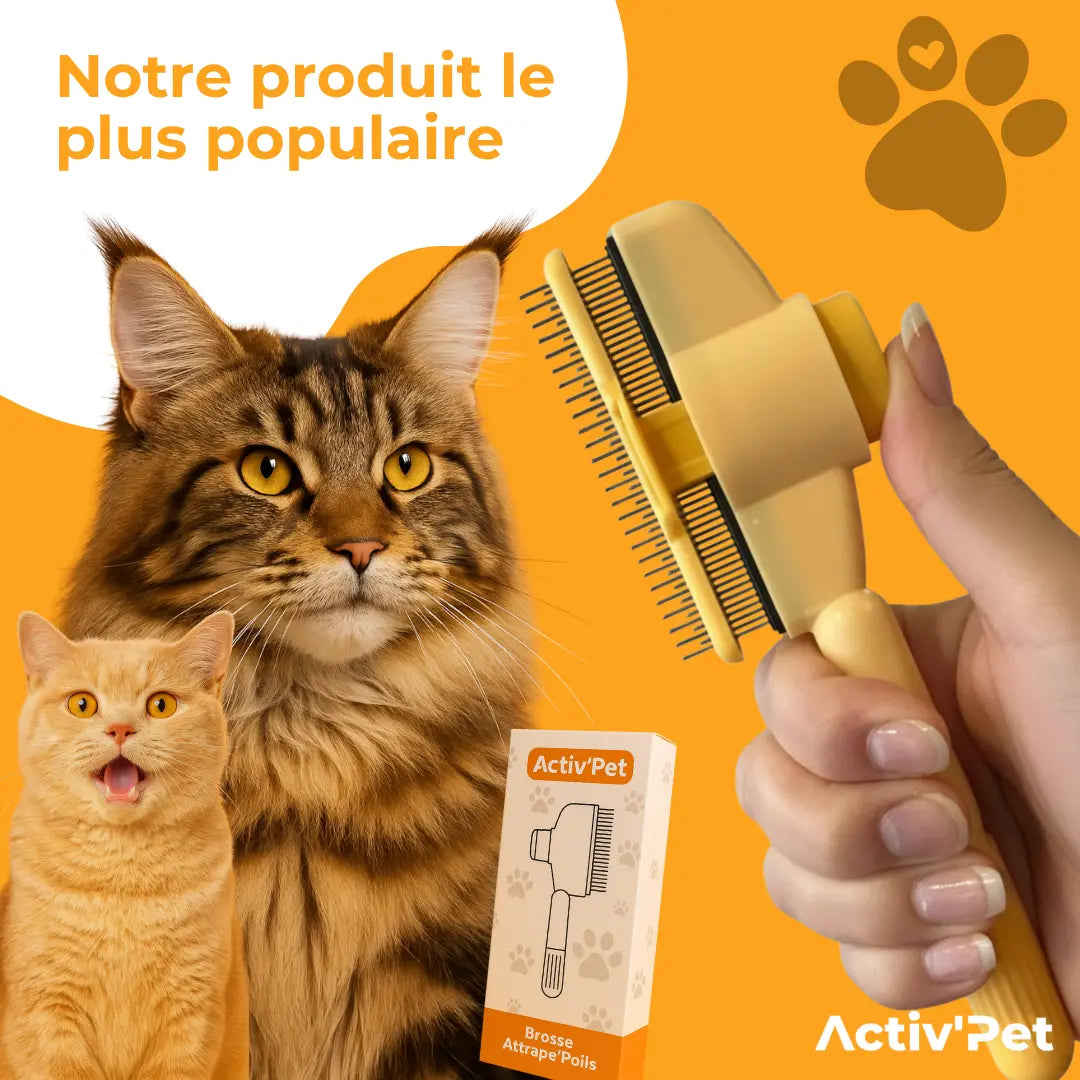 Brosse Attrape’Poils - ActivPet